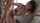 jav asian japanese