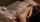 gilf mature boobs