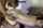 camgirl maybe asian latina