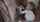 ebony teen bwc