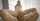 tiffany tatum reverse cowgirl small boobs