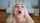swallow cum cum in mouth
