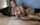 camgirl amateur blowjob