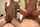 amateur riding cowgirl