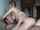 oldyoung big tits blonde