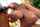 blonde big tits sucking dick