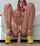 camgirl pinkhair dildo