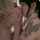 amateur lesbian sloppy kiss