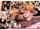 jav short hair riding