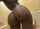 ebony ass butt