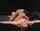 brunette femdom armpit sniffing