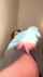 upskirt nude short skirt