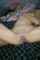 squirt pussy tits
