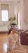 jav pettie yoga