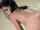 kitten dark hair doggy