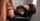 asian japanese jav