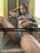 ebony amateur pussy