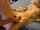 camgirl camcouple cum