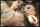 Mandy Brght And Maria Bellucci