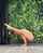 flexy flexible blonde