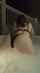 dark hair ass pawg
