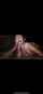 bbc blowjob bbj