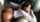 backshot ebony curvy