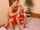 doggy blonde teen