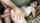 blowjob amateur teen