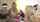 fifa strip beauty hot girl