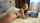 pussy straight cum
