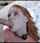 redhead blowjob facial
