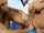 chanel preston fingering butthole