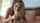 blowjob jenna haze eye contact