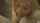 threesome swallow blondes