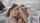 couple vaginal sex passion