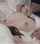 japen hot milf