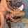 deepthroat blowjob gag
