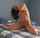 amateur dildo solo