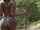 ebony big ass african