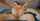 camgirl ebony porn ad