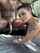 interracial bbc tattooed