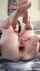 amateur anal gaping
