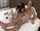 Debby