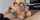 blowjob blonde glasses