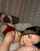 camgirl asian chaturbate