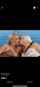 lesbian mature blonde