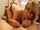 blonde big tits blowjob