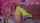 cosplay ahegao dildo