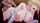 from behind hentai animation